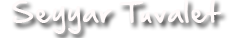 Seyyar Tuvalet